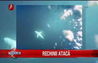 Rechinii ataca