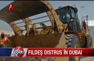 Fildes distrus in Dubai