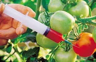 Totul despre alimentele modificate genetic. E bine sau nu sa le mancam?