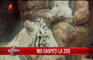 Noi oaspeţi la ZOO