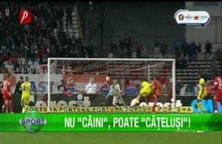 Nu "câini", poate "căţeluşi"!