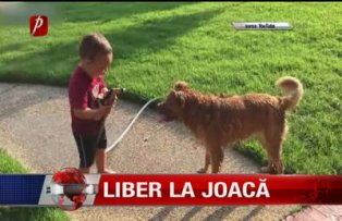 Liber la joaca