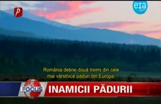 Inamicii padurii