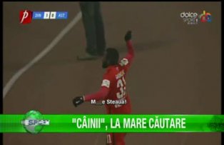 "Câini", la mare căutare