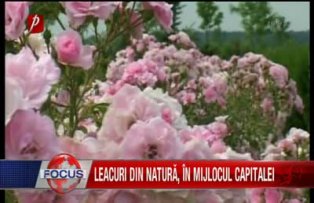 Leacuri din natura, in mijlocul capitalei