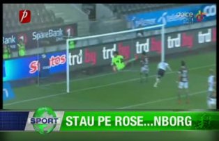 Stau pe Rose...nborg