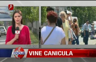 Vine canicula