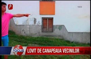 Lovit de canapeaua vecinilor