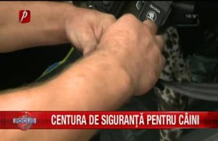 Centură de siguranţă pentru câini