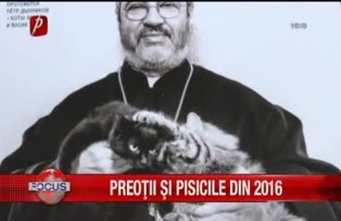 Preotii si pisicile din 2016