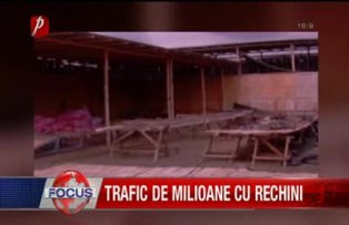 Trafic de milioane de rechini