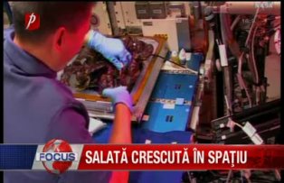 Salata crescută in spaţiu