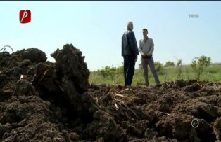VIDEO / Un barbat a gasit in apropierea casei cadavre de animale in putrefactie. Exasperat, a cerut ajutorul echipei "Revendicarea"
