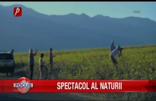 Spectacol al naturii