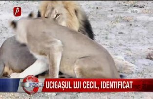 Ucigaşul lui cecil, identificat