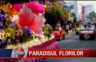Paradisul florilor