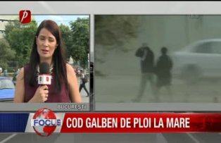 Cod galben de ploi la mare