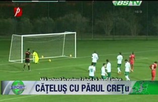 Căţeluş cu părul CREŢu