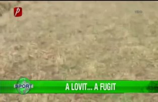 A lovit... a fugit