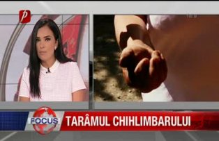 Taramul chihlimbarului