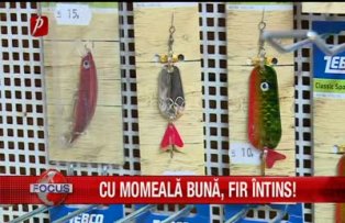 Cu momeală bună, fir întins!
