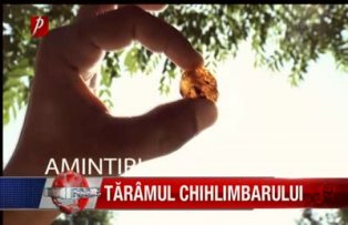Taramul chihlimbarului