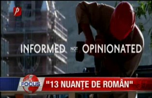 13 nuante de Roman