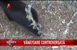 Vanatoare controversata
