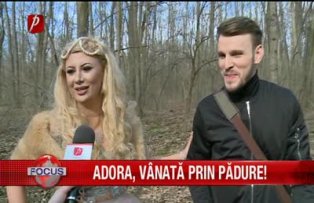 Adora vanata prin padure