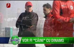 Vor fi "câini" cu Dinamo