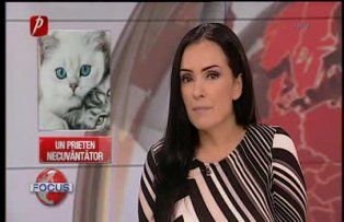 Un prieten necuvântător