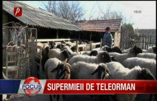 Supermieii de Teleormani