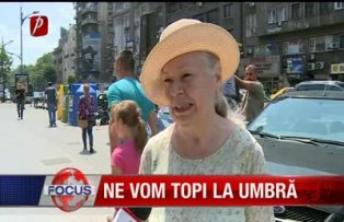 Ne vom topi la umbra