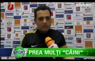 Prea mulţi "câini"