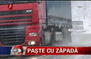 Paste cu zapada