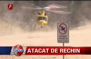 Atacat de rechin