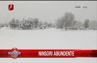 Ninsori abundente