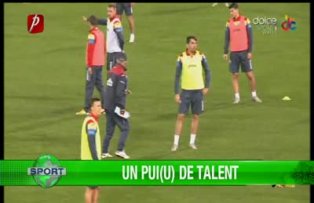 Un Pui(u) de talent
