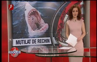 Mutilat de rechin