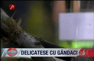 Delicatese cu gandaci