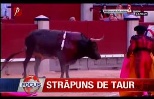 Strapuns de taur