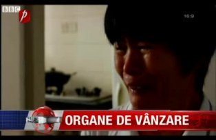 Organe de vânzare