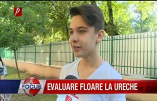 Evaluare floare la ureche
