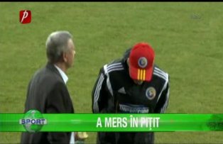 A mers în Piţit