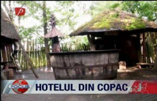 Hotelul din copac