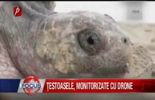 Ţestoasele monitorizate cu drone