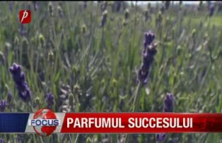 Parfumul succesului