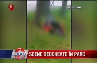 Scene deocheate in parc