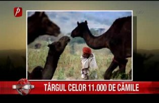 Targul celor 11.000 de camile