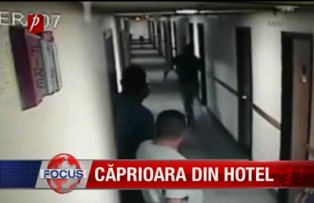 Căprioara din hotel